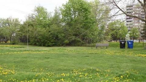 Stonehouse Cemetary - Stonehouse-Cemetery1.jpg