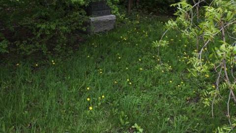 Stonehouse Cemetary - Stonehouse-Cemetery2.jpg