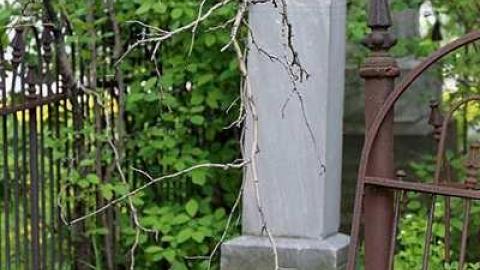 Stonehouse Cemetary - Stonehouse-Cemetery7.jpg