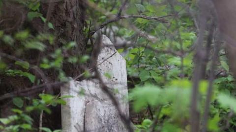 Stonehouse Cemetary - Stonehouse-Cemetery10.jpg