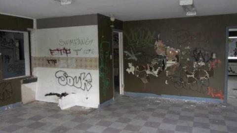 Pinetree Lakeshore Nursery photo 3