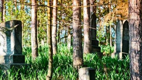 Creepy - White-Lake-Pioneer-Cemetery44.jpg