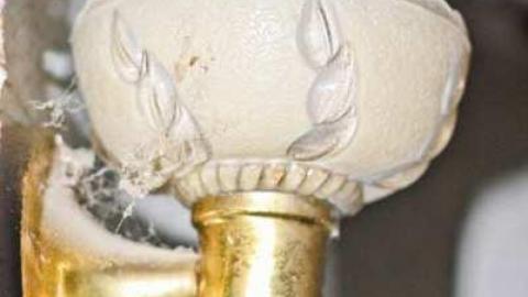 Mr. Rollins Where Art Thou - 1437-Mud-Cat-Lane16.jpg