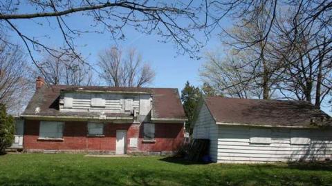 Hiding on Upper James photo 3