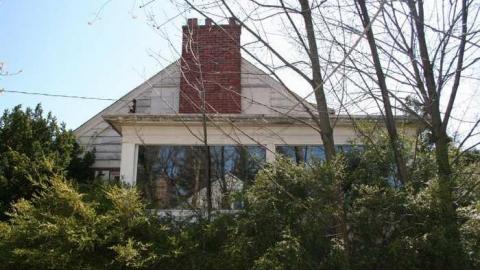 Hiding on Upper James photo 4