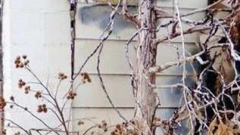 Fire Aftermath - Burlington, Ontario