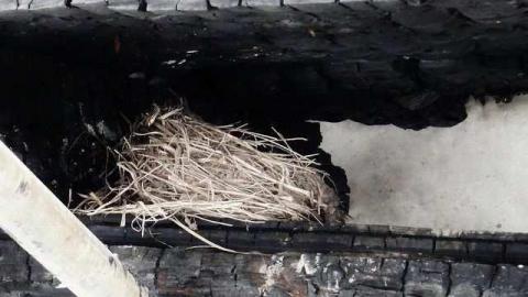 Fire Aftermath photo 5