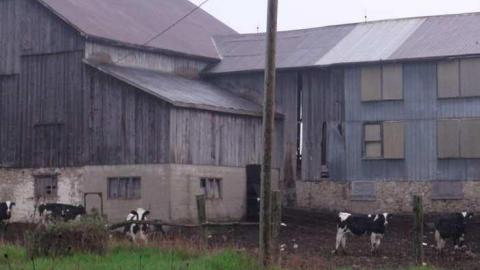 May 2013 - DSC02026.jpg