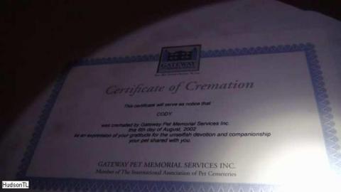 May 2013 - Abandoned-Cat-Lady-House371.jpg