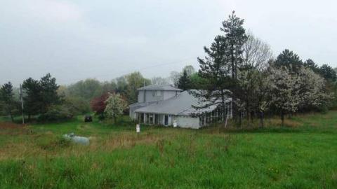 May 2013 - Abandoned-Cat-Lady-House380.jpg