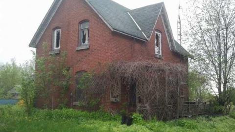 Photo from may the 12th