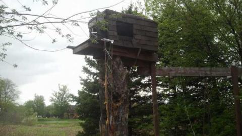 may the 12th - 2013-05-12 16.40.37.jpg