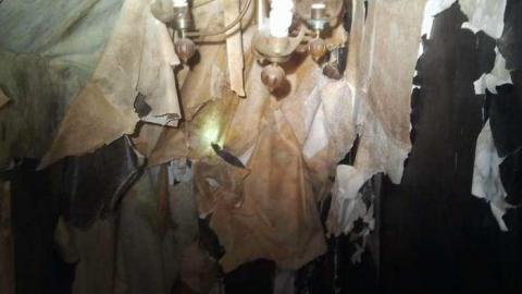 may the 12th - 2013-05-12 16.49.15.jpg