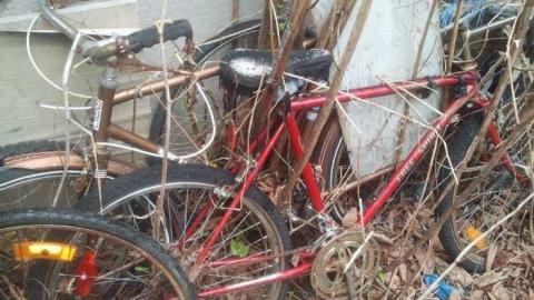 oh my god - 2013-05-12 15.28.35.jpg