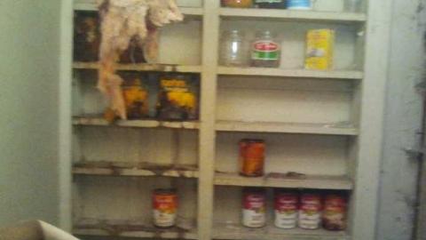 oh my god - 2013-05-12 15.29.47.jpg