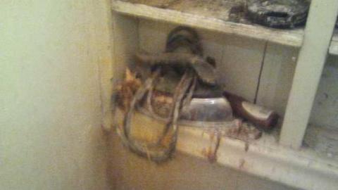 Tarped Out - Hamilton, Ontario