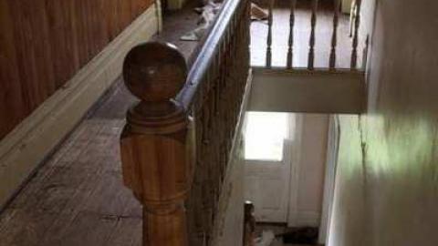 Photo from They are stealing the barn