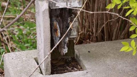 Before SmartCentre moves in - IMG_4322.jpg