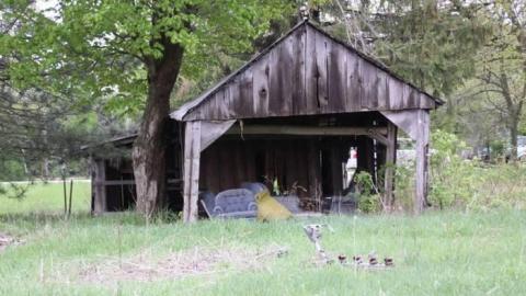 Before SmartCentre moves in - IMG_4377.jpg