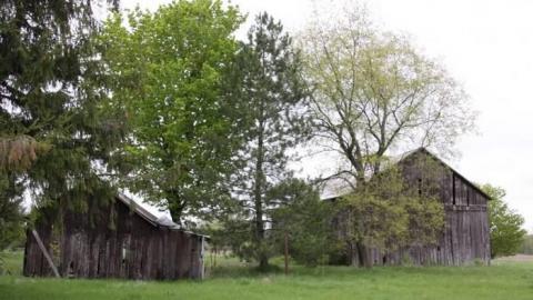 Before SmartCentre moves in - IMG_4400.jpg