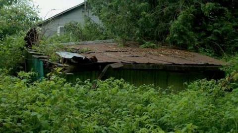 Gallery - Horseshoe-Hill-Road-near-Star23.jpg