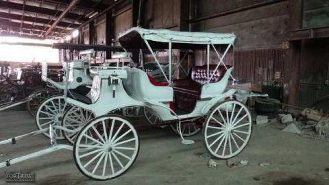 May Run Through - NOTLbuggyboat7.jpg