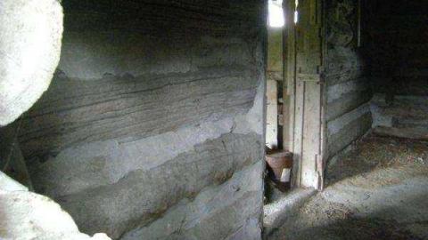 Gallery - Wellington-Rd-2622.jpg