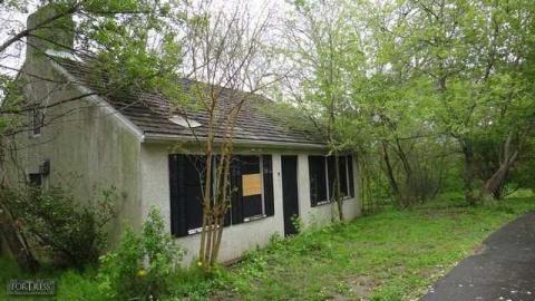 OnEsEvEnSeVeN - onesevenseven2.jpg