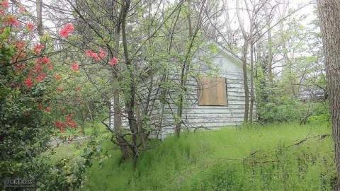 OnEsEvEnSeVeN - onesevenseven5.jpg