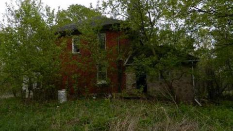 May 2013 - Skinny-the-Cat-Lives-Here12.jpg