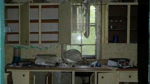 May 2013 - Skinny-the-Cat-Lives-Here10.jpg