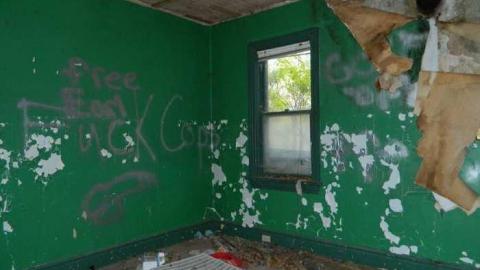 May 2013 - Skinny-the-Cat-Lives-Here17.jpg