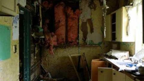 May 2013 - Skinny-the-Cat-Lives-Here18.jpg