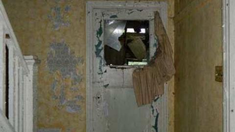 May 2013 - Skinny-the-Cat-Lives-Here20.jpg