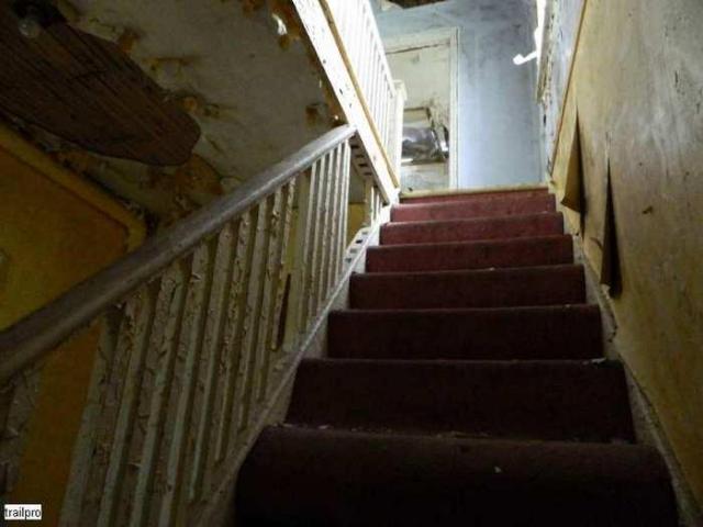 Skinny the Cat Lives Here - Halton Hills, Ontario