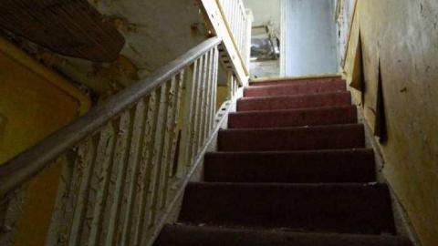 May 2013 - Skinny-the-Cat-Lives-Here22.jpg