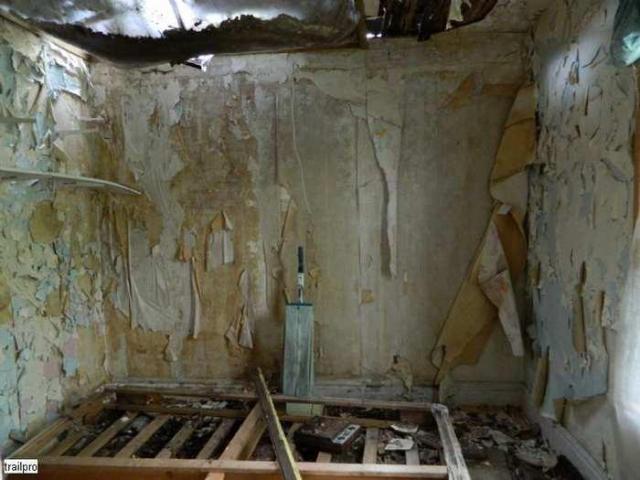 Skinny the Cat Lives Here photo 2