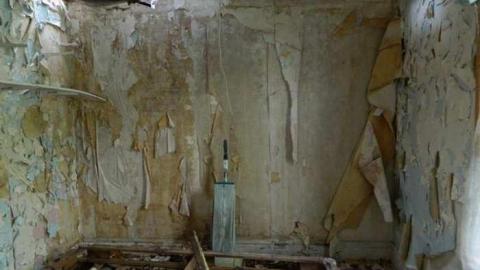 May 2013 - Skinny-the-Cat-Lives-Here31.jpg