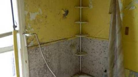 May 2013 - Skinny-the-Cat-Lives-Here25.jpg