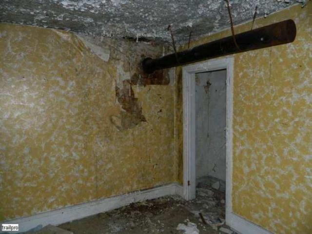 Skinny the Cat Lives Here photo 3