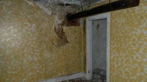 May 2013 - Skinny-the-Cat-Lives-Here32.jpg