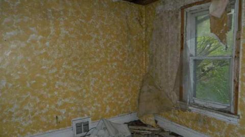 May 2013 - Skinny-the-Cat-Lives-Here26.jpg