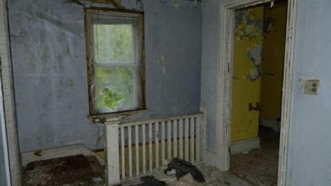 May 2013 - Skinny-the-Cat-Lives-Here33.jpg