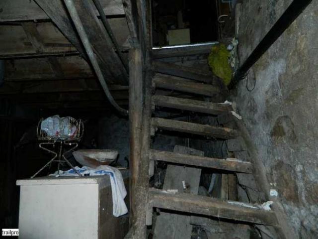 Skinny the Cat Lives Here photo 4