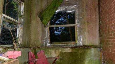 May 2013 - Skinny-the-Cat-Lives-Here35.jpg