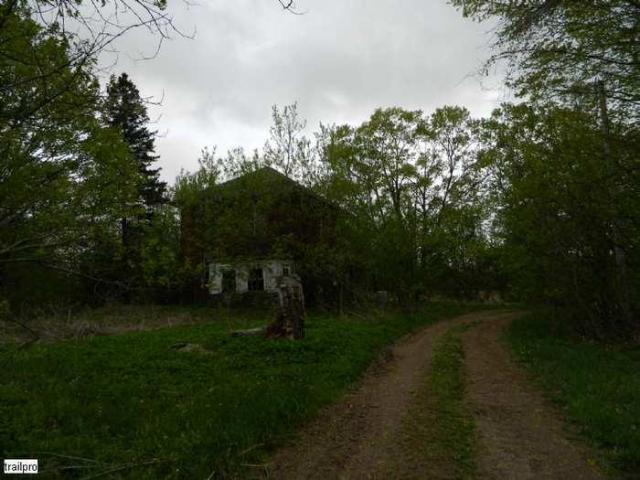 Skinny the Cat Lives Here photo 5