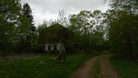 May 2013 - Skinny-the-Cat-Lives-Here29.jpg