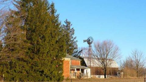 April '13 visit - Sideroad-Sanity11.jpg