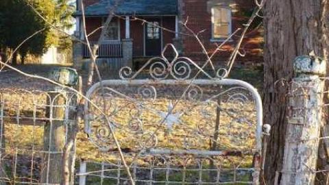 Sideroad Sanity photo 4