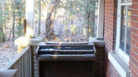 April '13 visit - Sideroad-Sanity12.jpg